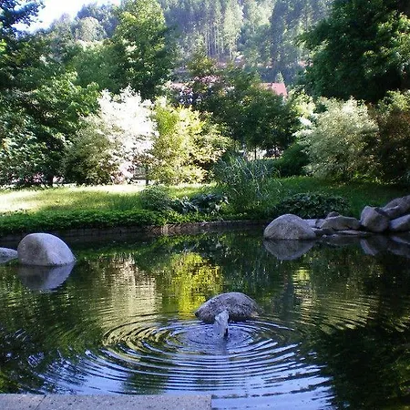 Appartementhaus-wiesengrund-fewo1 Daire *