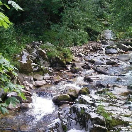 Daire Appartementhaus-wiesengrund-fewo1