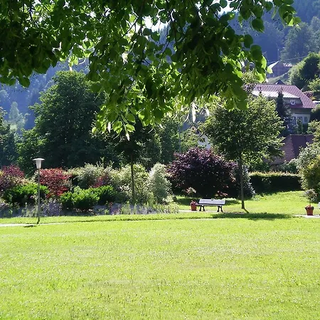 Appartementhaus-wiesengrund-fewo1 *