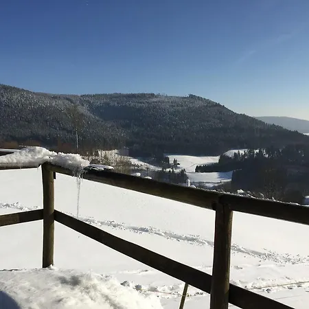 Daire Appartementhaus-wiesengrund-fewo1 Baiersbronn