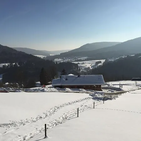 Appartementhaus-wiesengrund-fewo1 Daire Baiersbronn