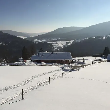 Daire Appartementhaus-wiesengrund-fewo1 Baiersbronn